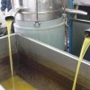 Οι ελαιοτριβείς Ηλείας στον Χαρ. Καφύρα