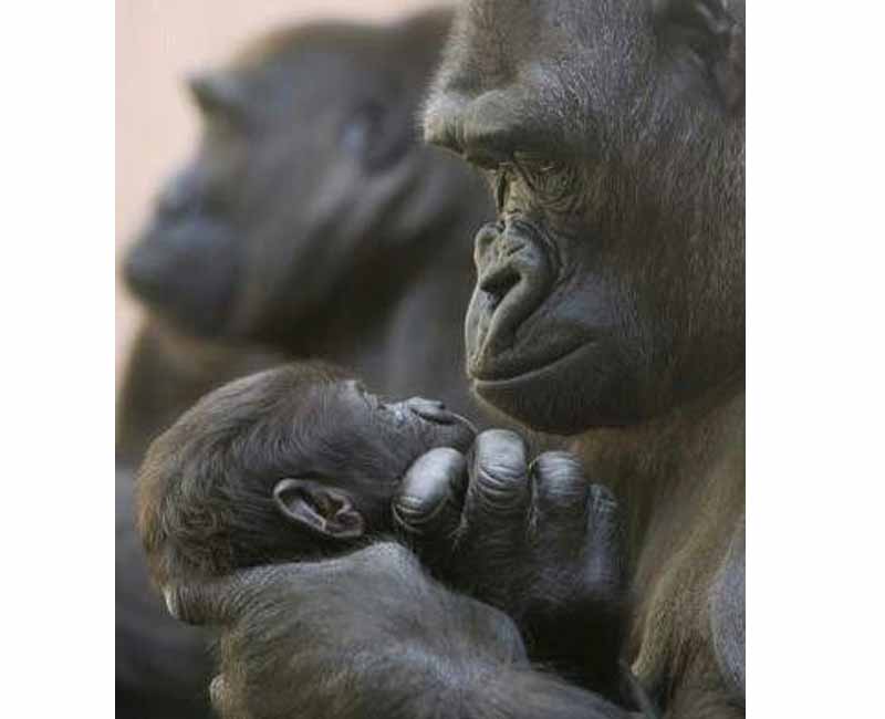 μαμάδες και παιδιά